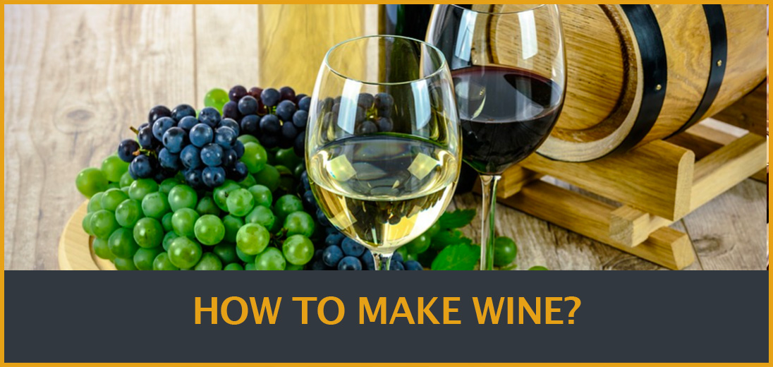 Cách làm rượu vang: Từ vườn nho đến bàn ăn